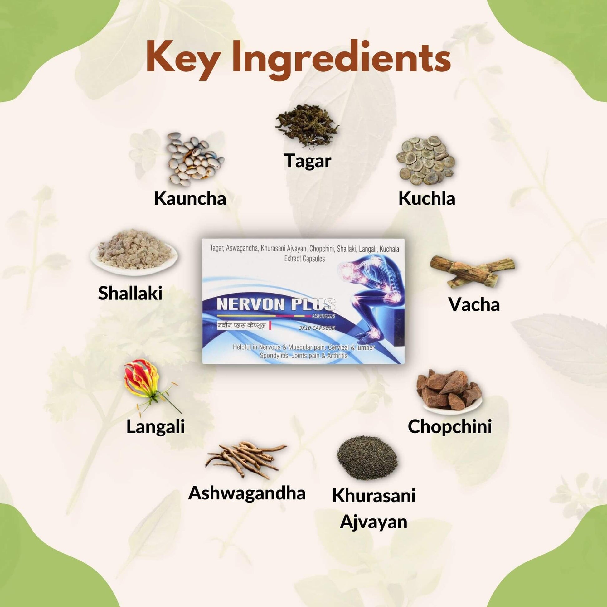 Ingredients Used in Nervon Plus Capsules
